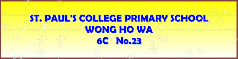 SPCPS Banner / Personal file